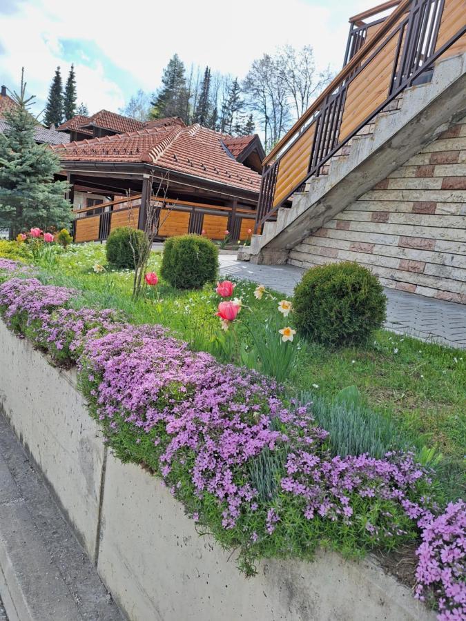 Apartments Monte Vista Zlatibor Dış mekan fotoğraf